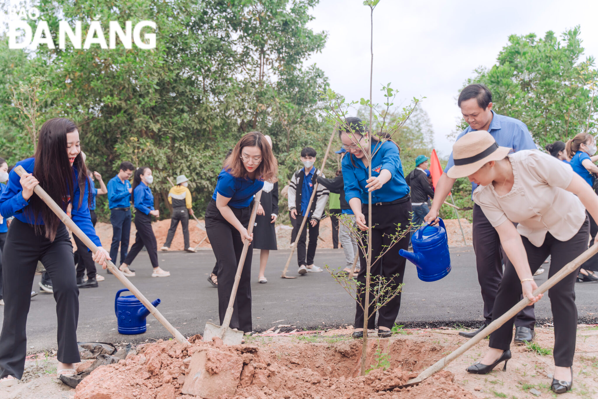 Members of the Youth Union Organization in the Hoa Vang district planted 500 Taiwan Banyan trees on the DH2 road through the Hoa Nhon Commune, Hoa Vang District. Photo: Tieu Yen