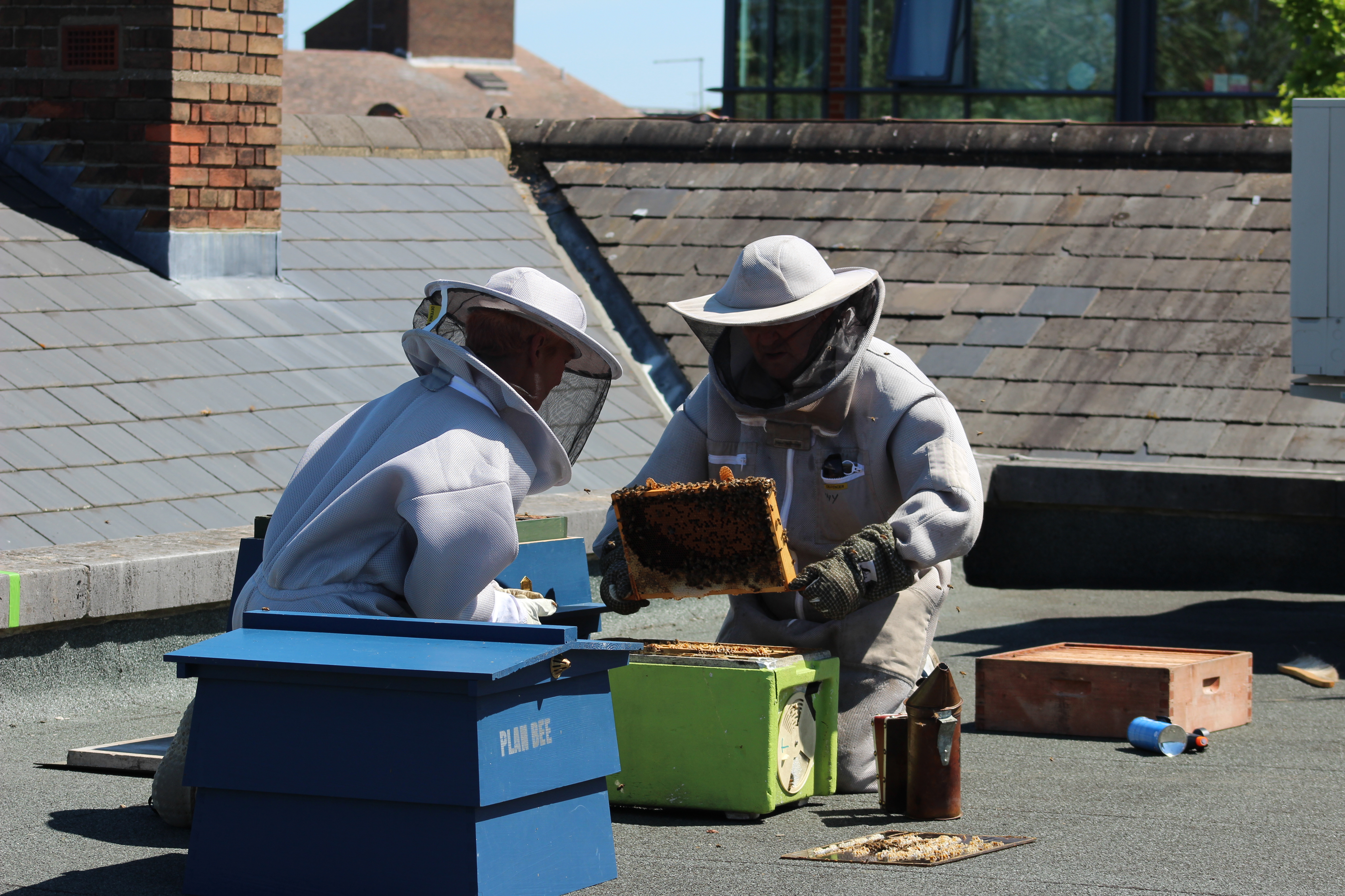 Install beehive