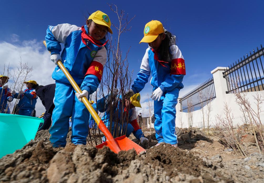 China's highest city sets new green milestone xinhua