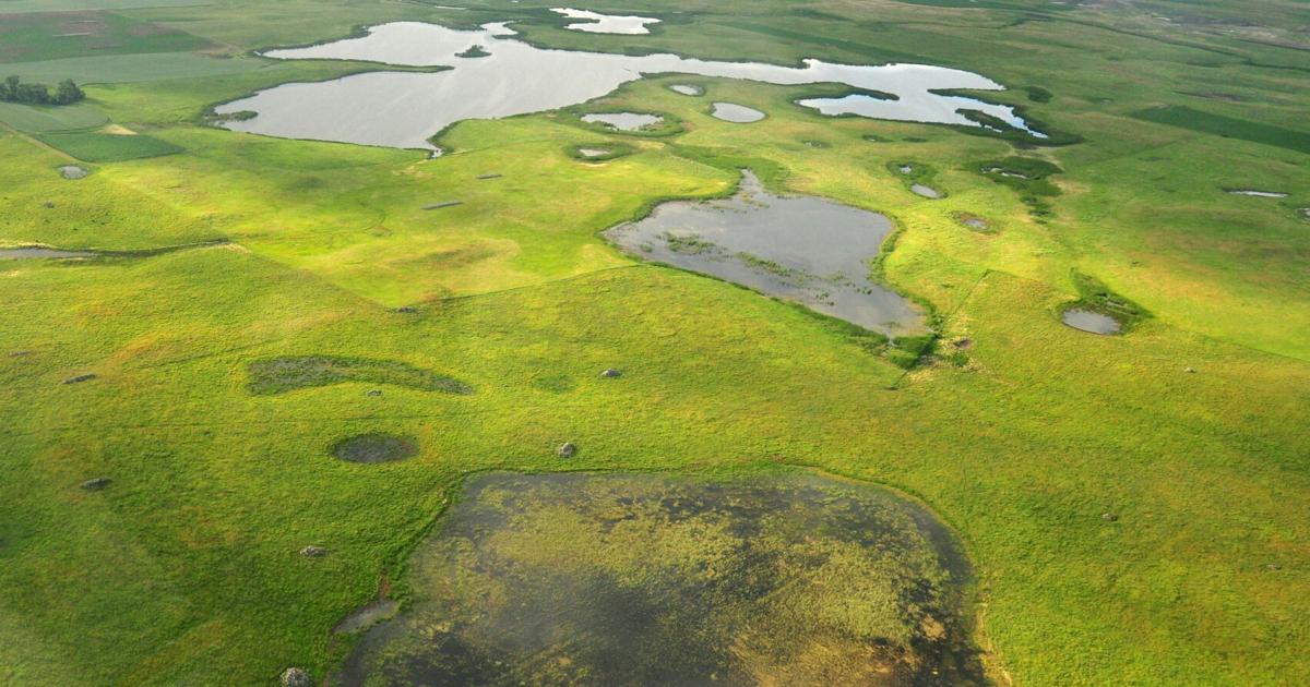 Codington County Commissioner support the use of agricultural and water protection products for grassland roads | Local news
