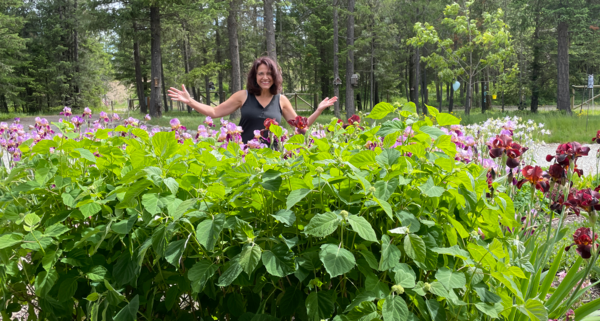 Greengardenzone.com is expanding with new sections for the season gardener tips for home gardeners