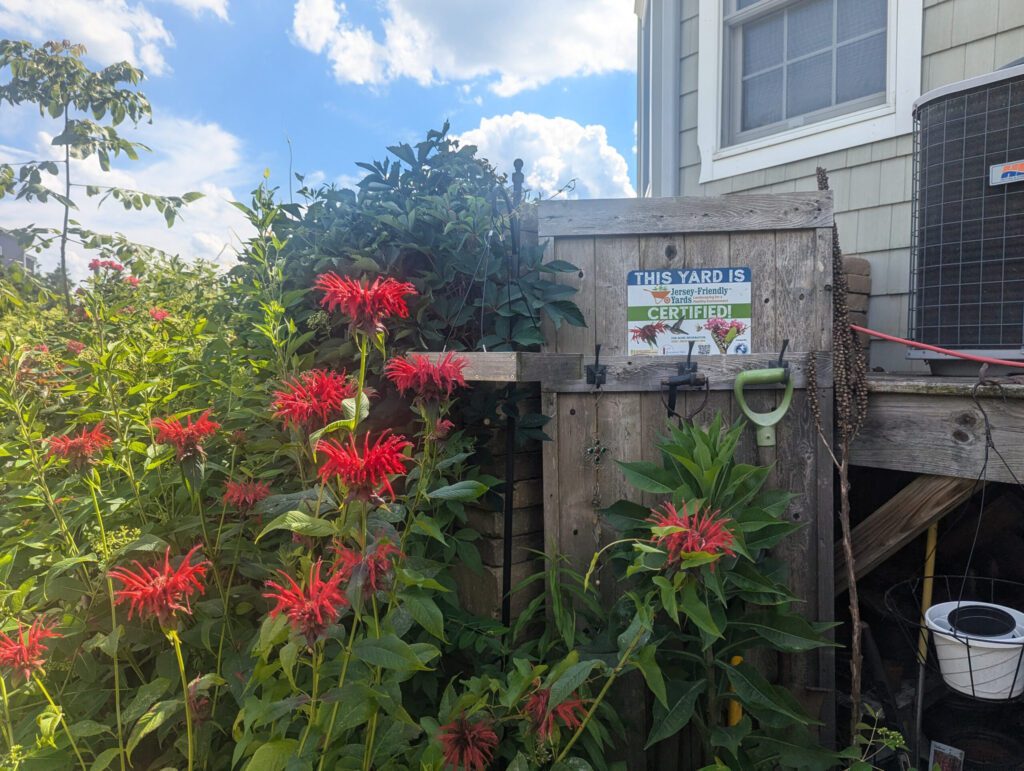 Jersey-friendly YARDS-PRIVAL Certification program goes nationwide