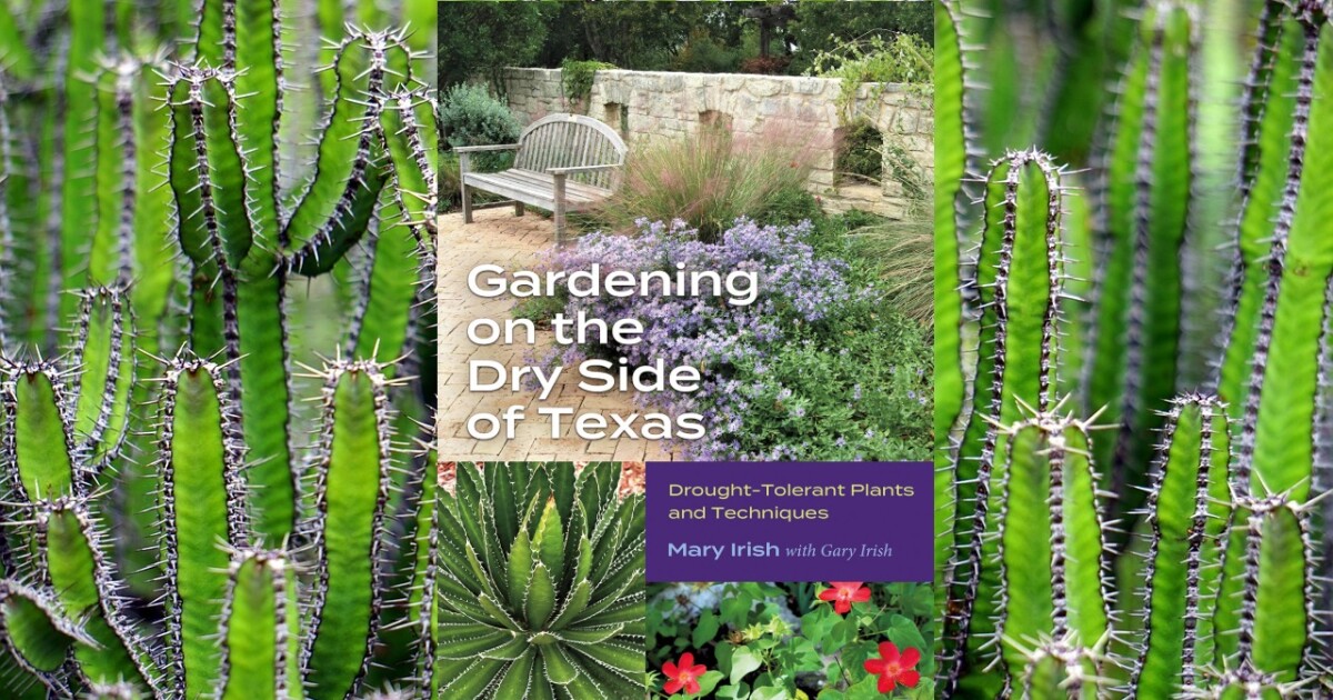 Lawns and landscapes for the heat and drought