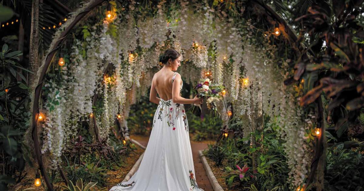 Living Sculpture Sanctuary: Unique Wedding Place Florida outdoors Florida