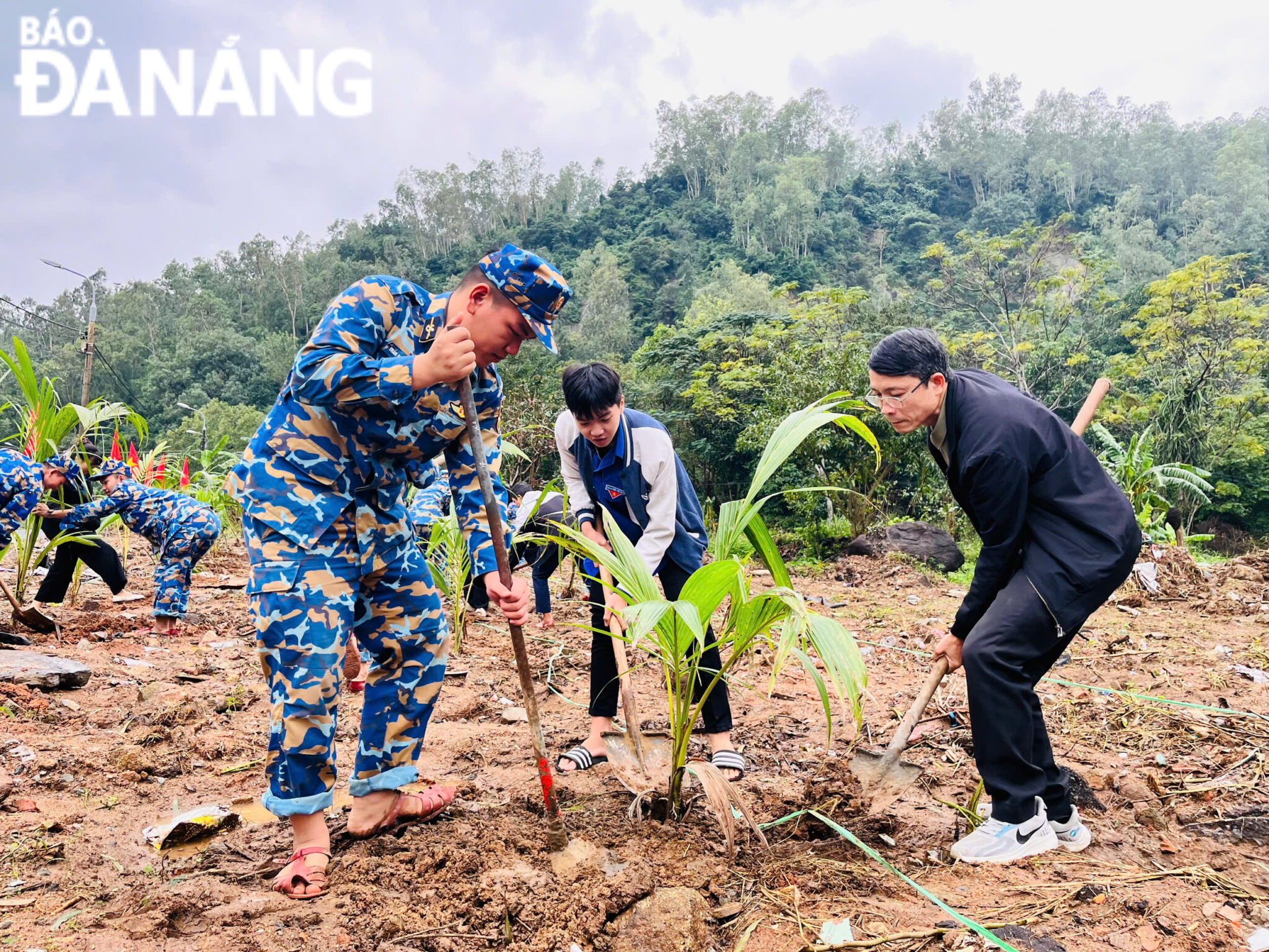 The command of the Marine Region 3 coordinated with the Son Train Tra -District's public committee to plant and look after trees in the Suoi da Park in the Nguyen Tuan Thien Street, the quang, the son Tra District. Photo: Tieu Yen