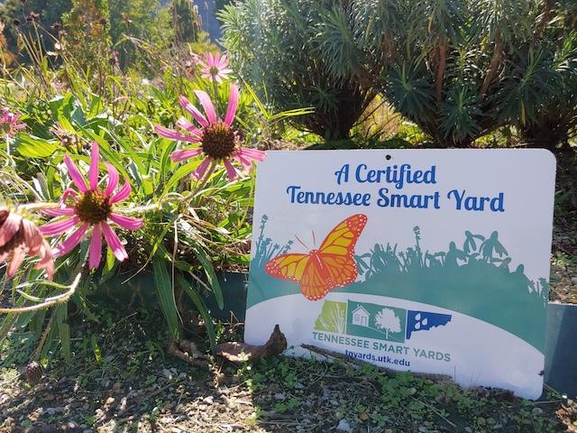 Smart yards, intelligent life: How a broker helps to cultivate more environmentally friendly spaces