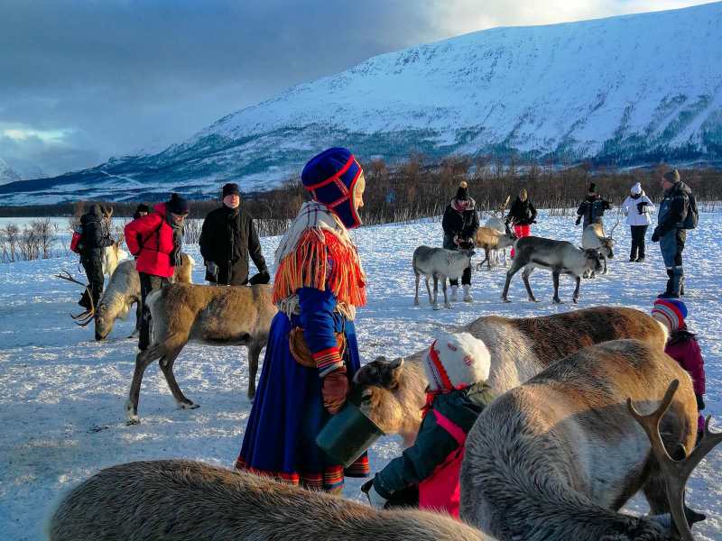 66757be160d798024cb2764e_64e71b80c584085450a9e09e_sami-reindeer - travel and tour world The Sámi Parliament introduces certification to promote ethical and sustainable tourism in Arctic Finland