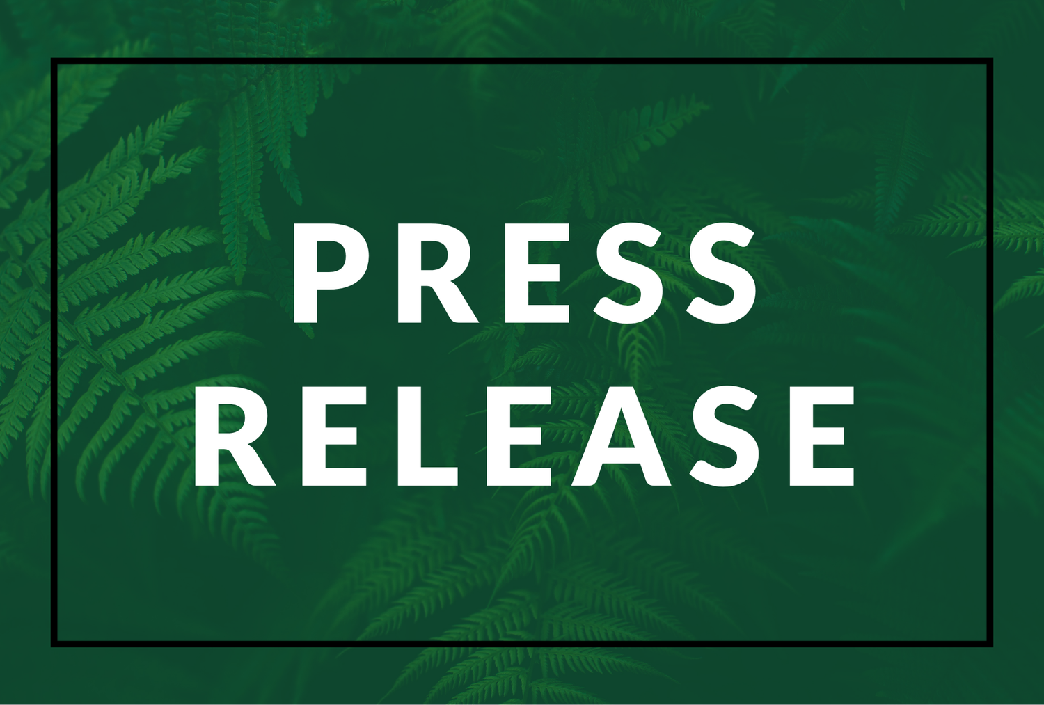 Toronto Gray to Green 2025 Conference to emphasize Urban Climate Solutions and Green Infrastructure Innovation
