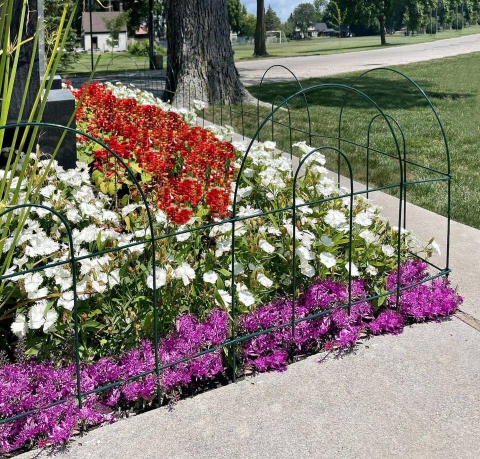 Flower garden with a metal fence.