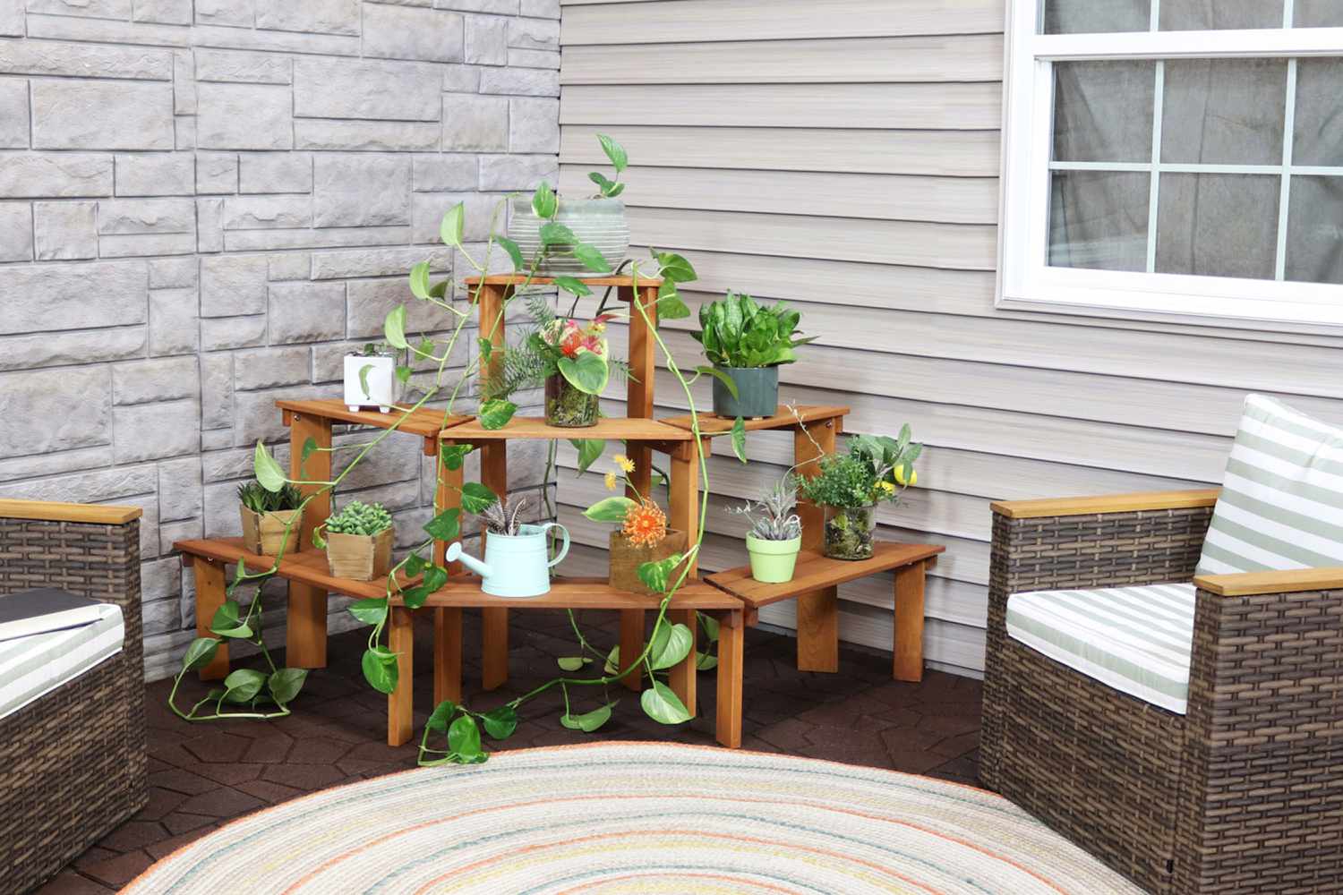 Wayfair's outdoor plants stand today at only 21 US dollars
