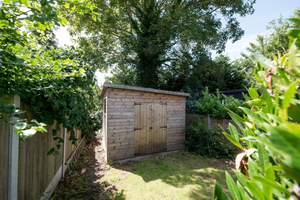 British show that a division fence glows after gardening with Lockdown relapse -that costs less than £ 8