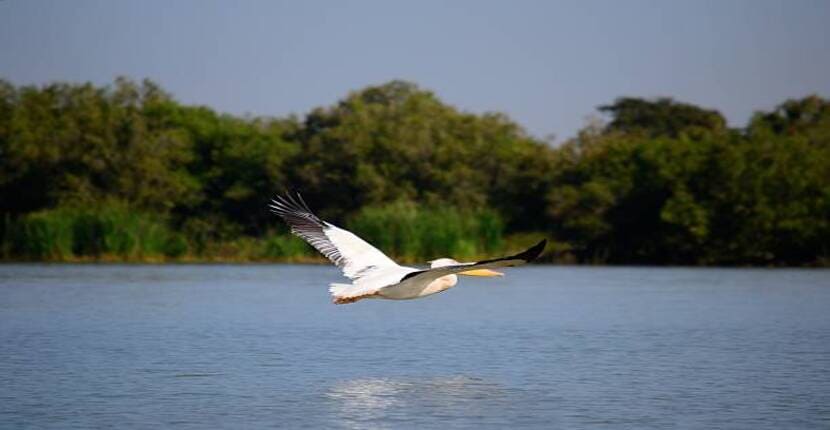 Ethiopia3 1 1 - travel and tour world The development of rural corridor in Ethiopia: a boost for sustainability and ecotourism