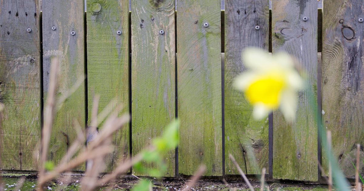 New British garden catering network simplifies the rules, but households could be exposed to £ 20,000 with fine