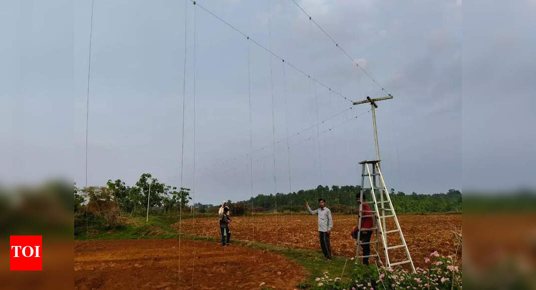 Solar fences in Gumla to keep jumbos in chess | Ranchi news