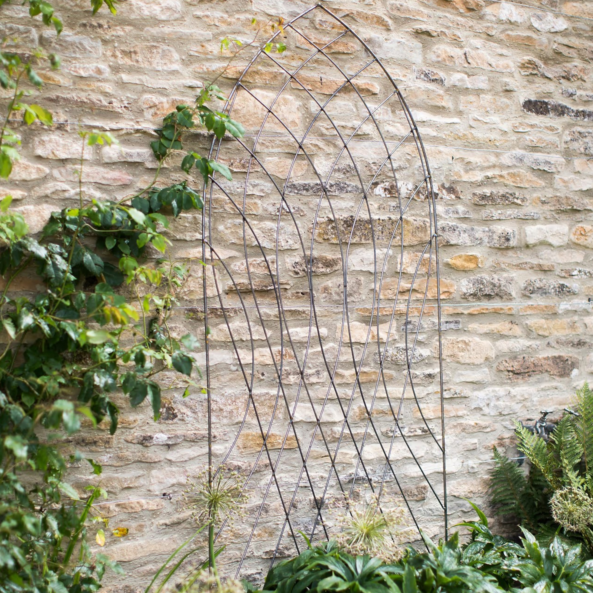 Garden trading spinner with climbing plants on a wall wall