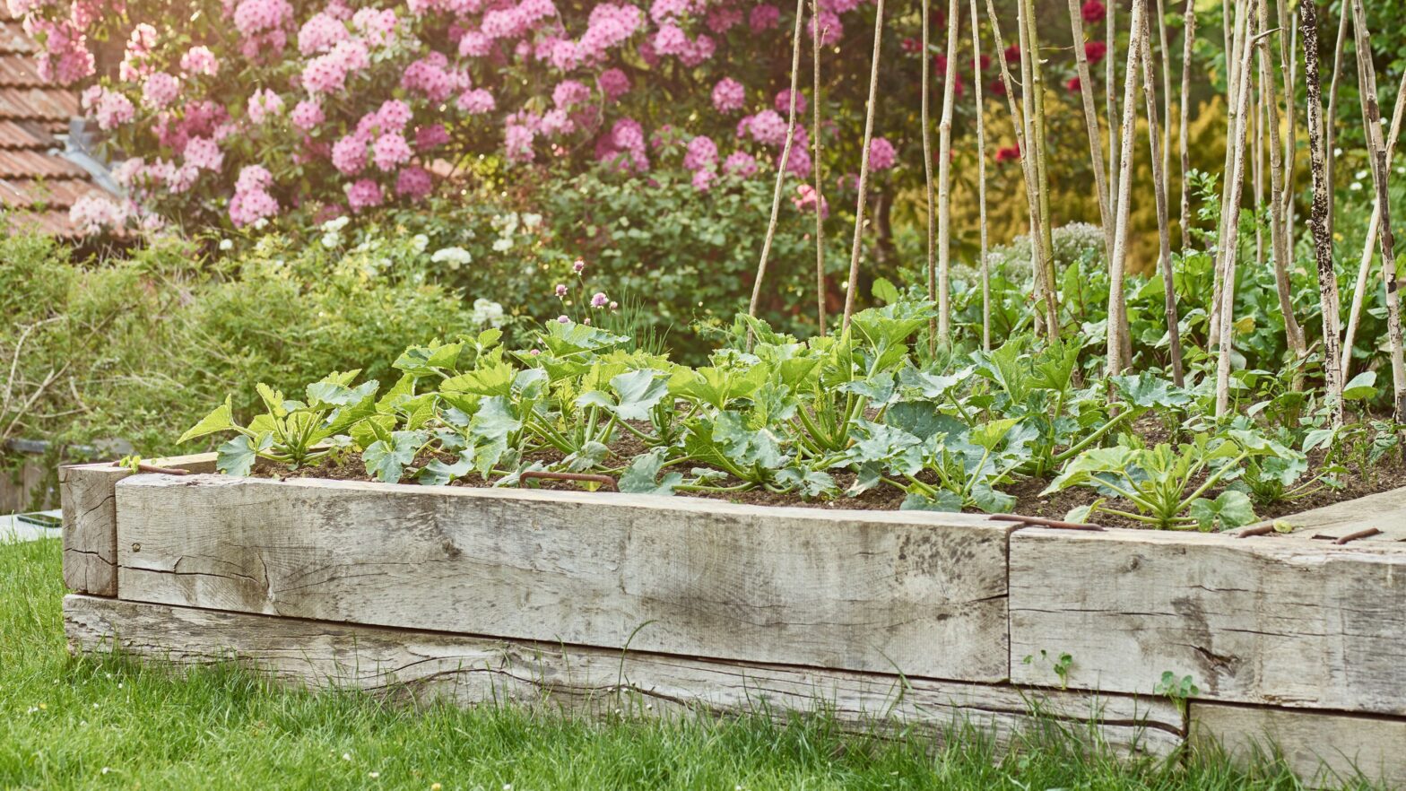 I found the best plant supports to keep my garden in shape