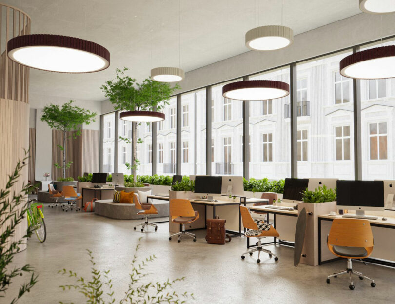 A modern open plan office with large windows, pupils, computer monitors, orange chairs, inner plants and circular ceiling lights.