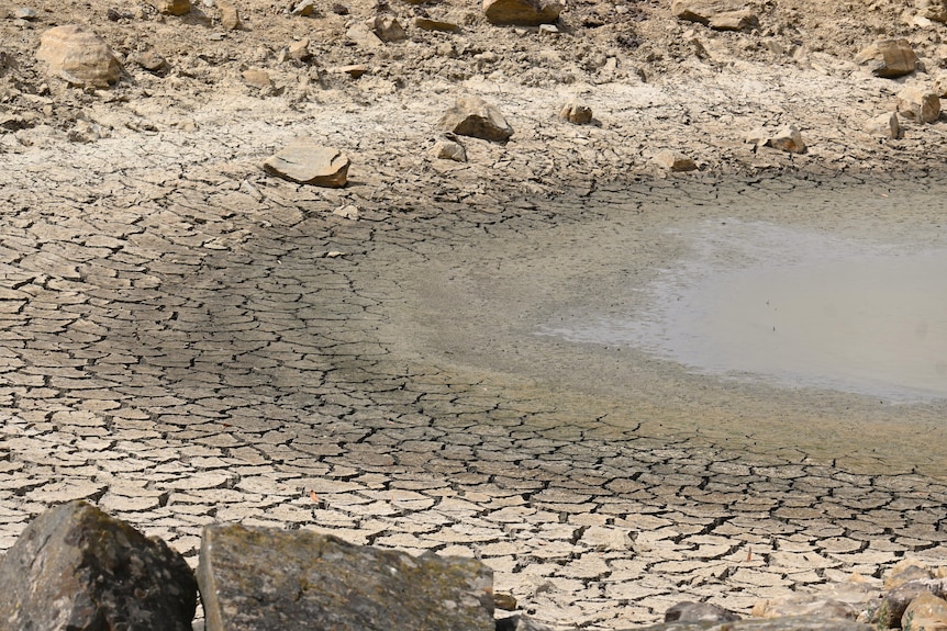 A drying embankment with just a small amount of water in a brown, rocky landscape