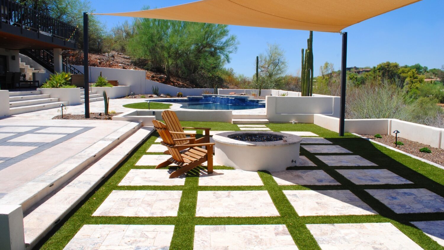 A landscape of possibilities: from plants to patos