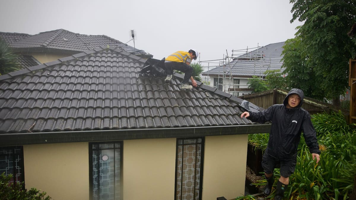 Flashed out the window, trees, fences and debris, as "Tornado" Aucklands West Harbor beats
