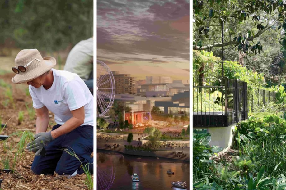 Aila Awards celebrate Queensland's landscape design excellence
