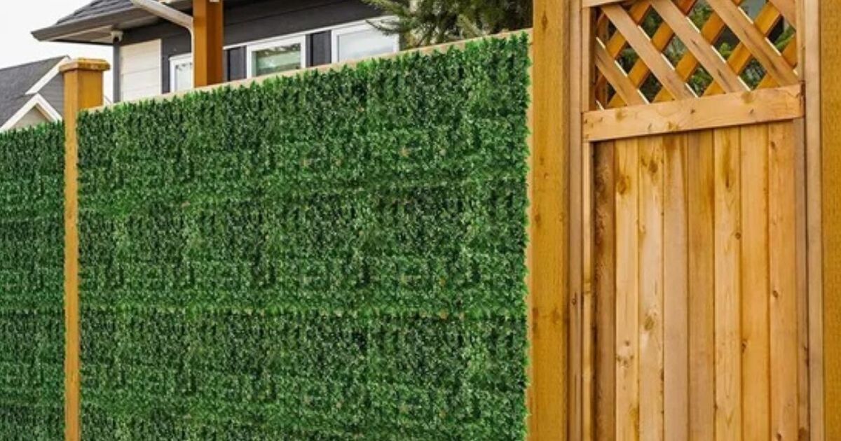Garden fans praise "good quality" face privacy screening