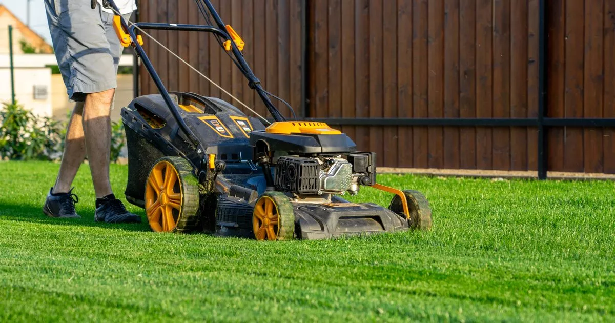 Gardening warned to avoid lawns at certain times of the day in June