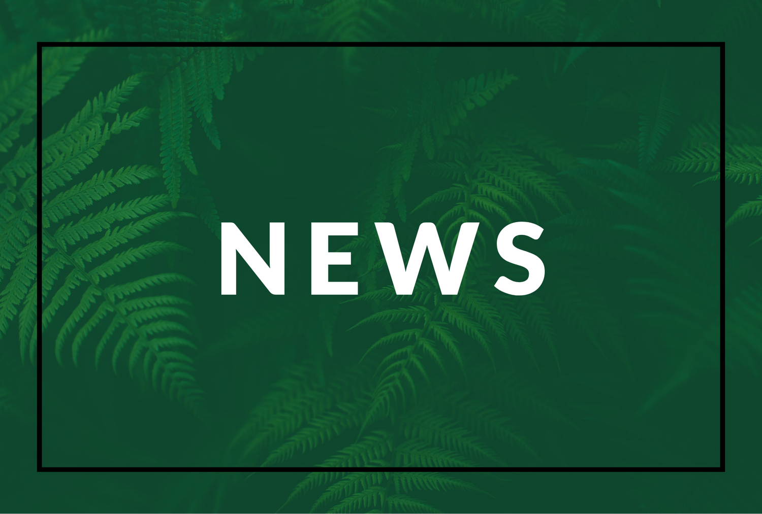 Green roofs for healthy cities start the summer 2025 climate crisis question of the Living Architecture Monitor