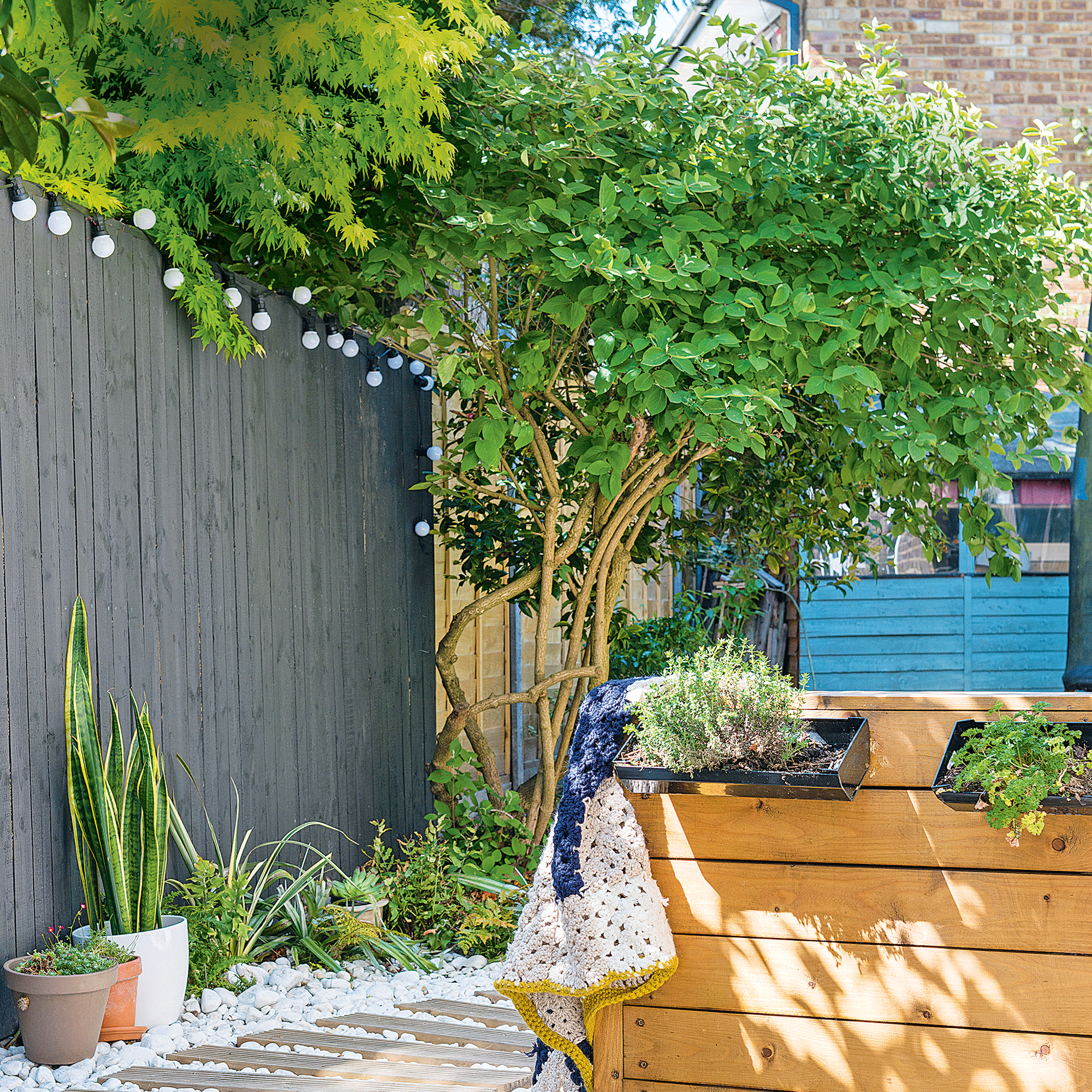 How high can a garden fence be? The legal limit and ...