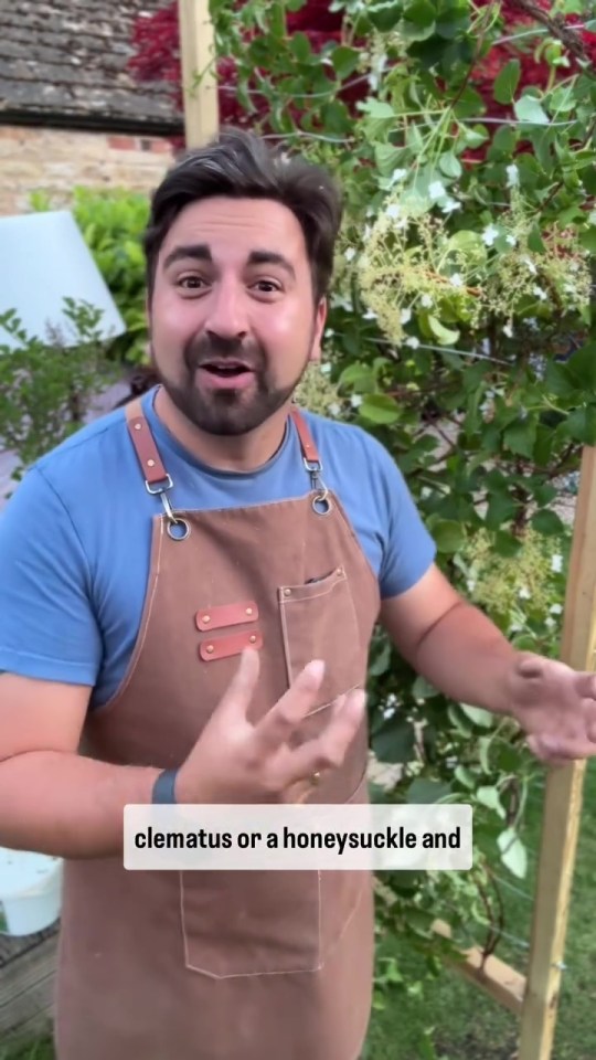 Man in apron, who stands in front of Diy Green Privacy fence with flowers.