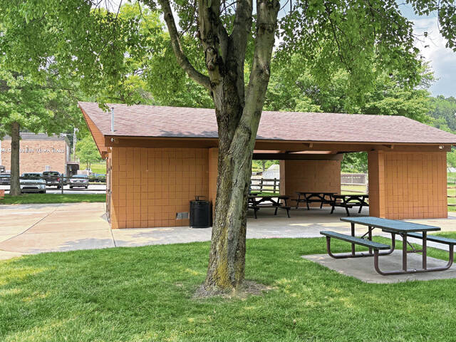 McCandless is looking for the residents to help the 175th anniversary and delivers input on Parks Study