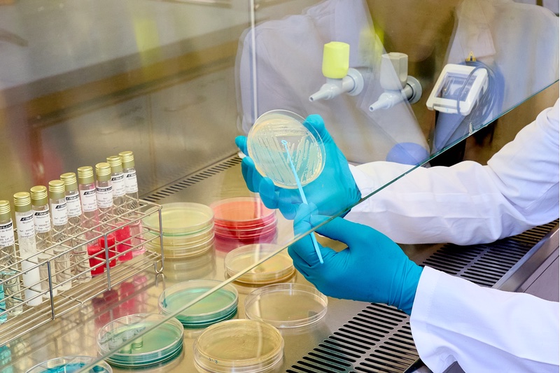 The largest microbiological laboratory of Syensqo worldwide in Lyon, France