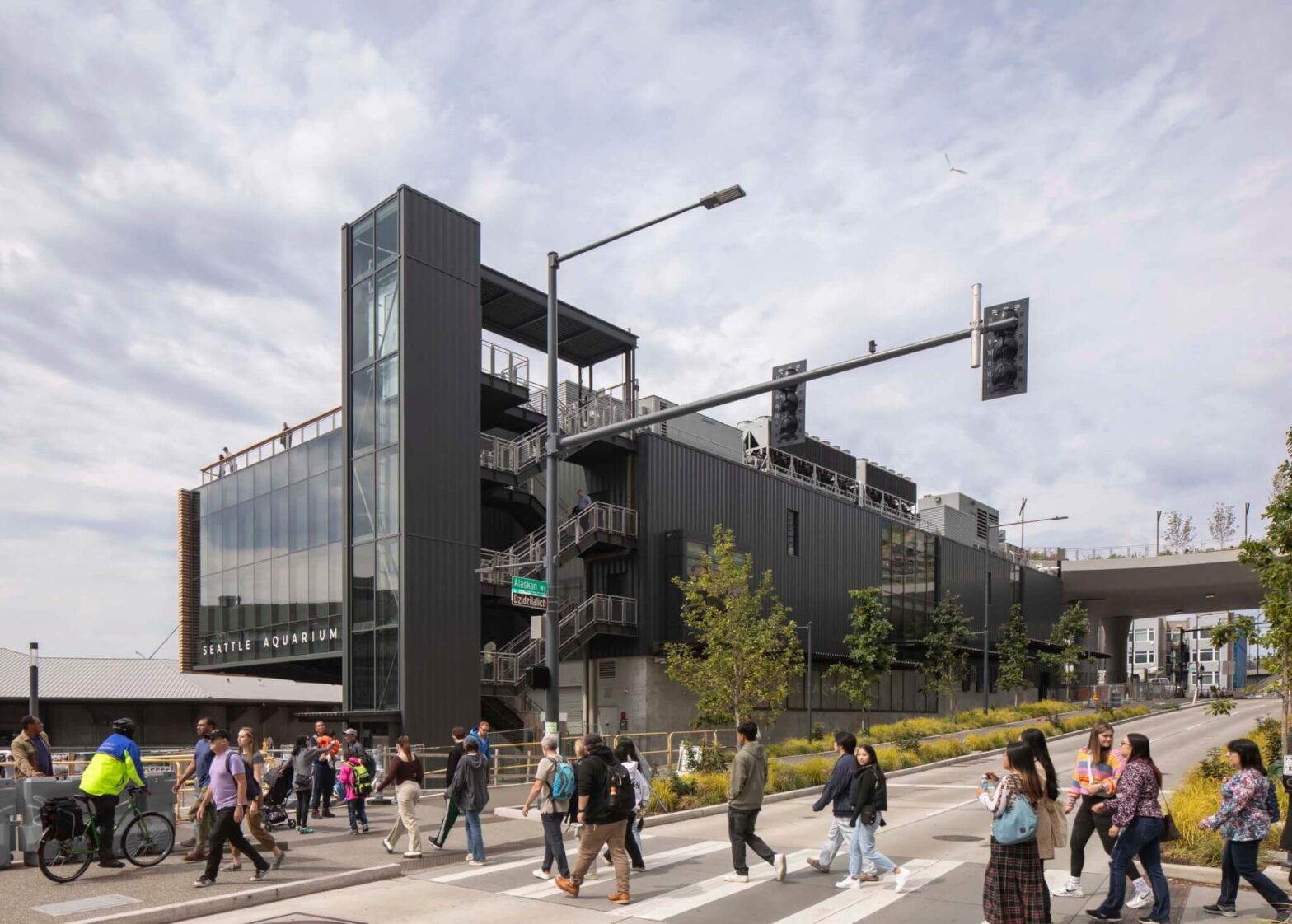 LMN and Thinc design use openings to break the shape in the Seattle aquarium