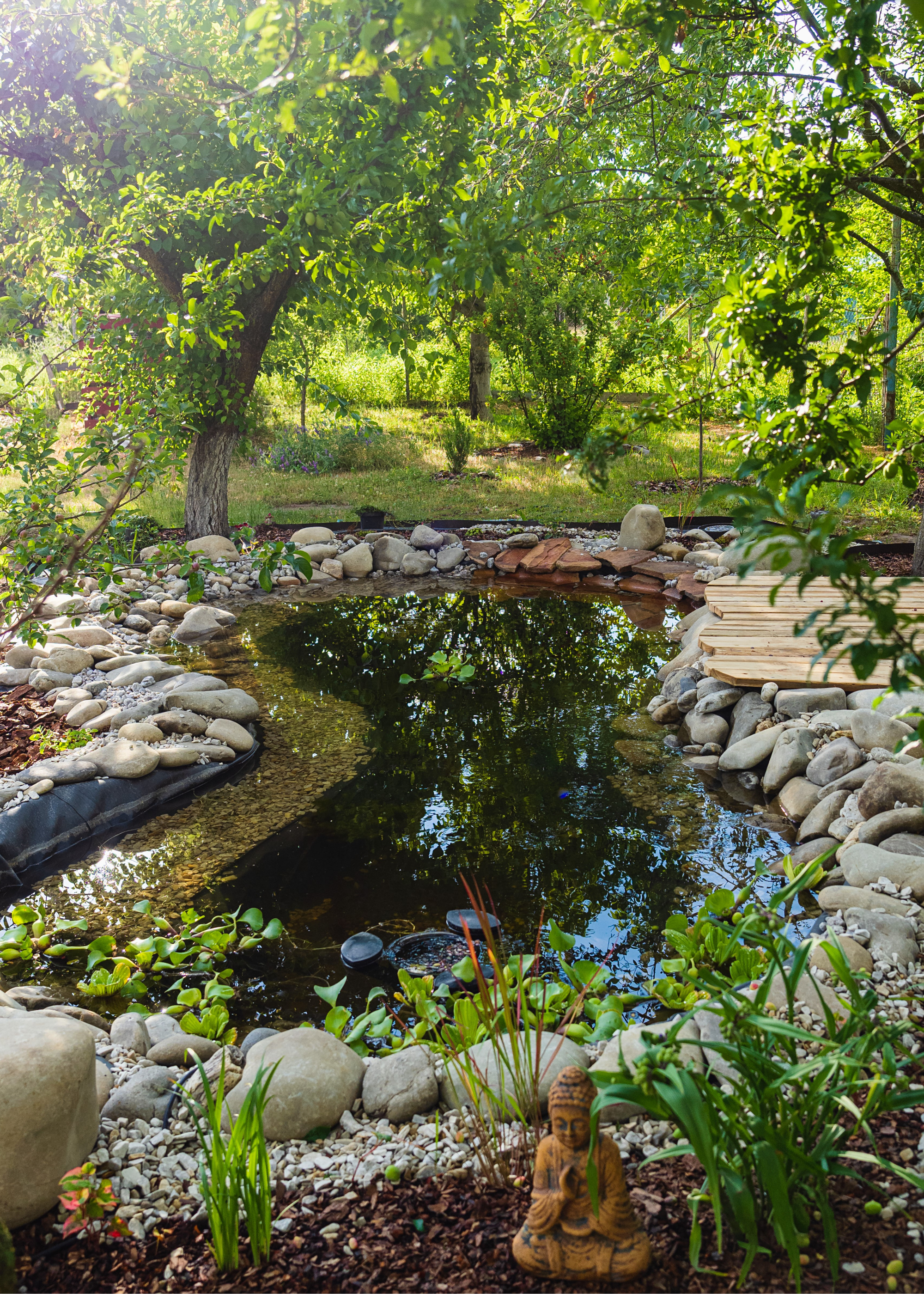 A natural pool in a garden