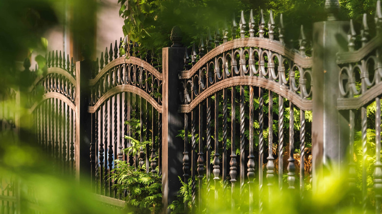 A black wrought iron fence is surrounded by green