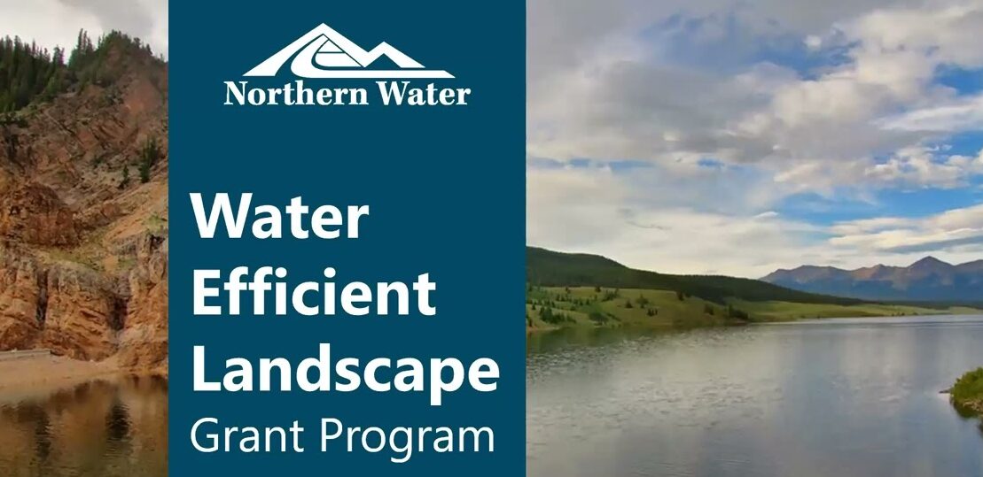 Northern Water Awards for almost $ 400,000 in grants for water-efficient landscape projects