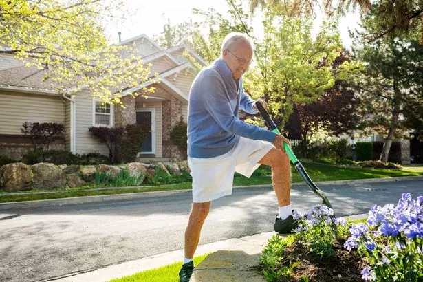 The neighbor cropped the plants without asking (stock image)
