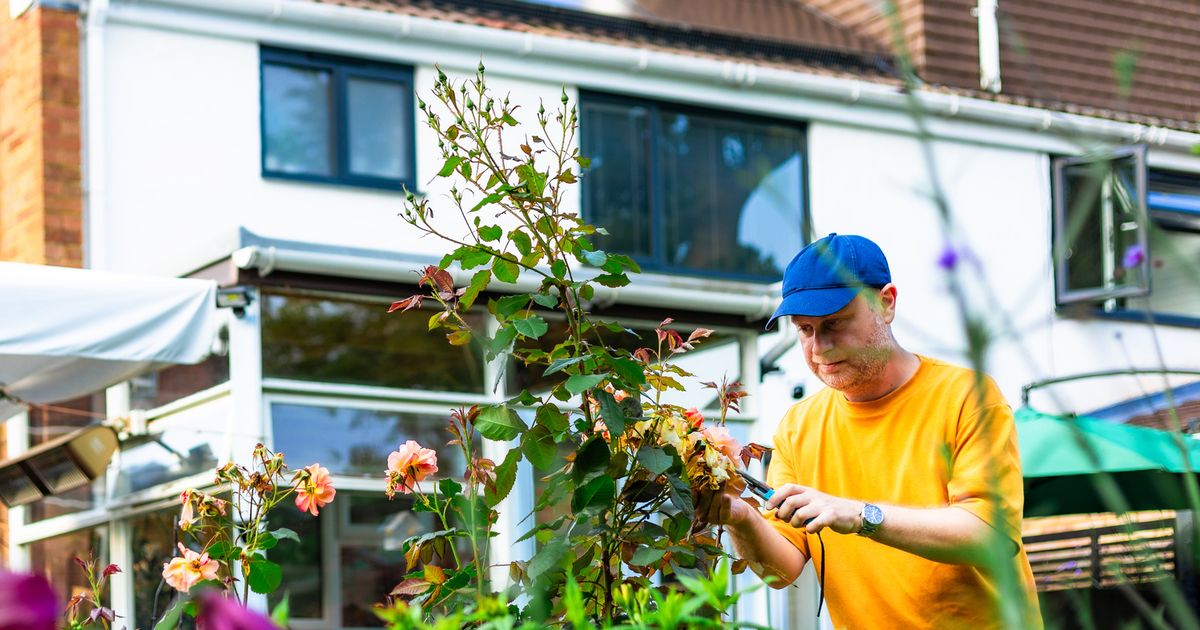 "My neighbor keeps changing my front yard while I'm outside - I hate what he says."