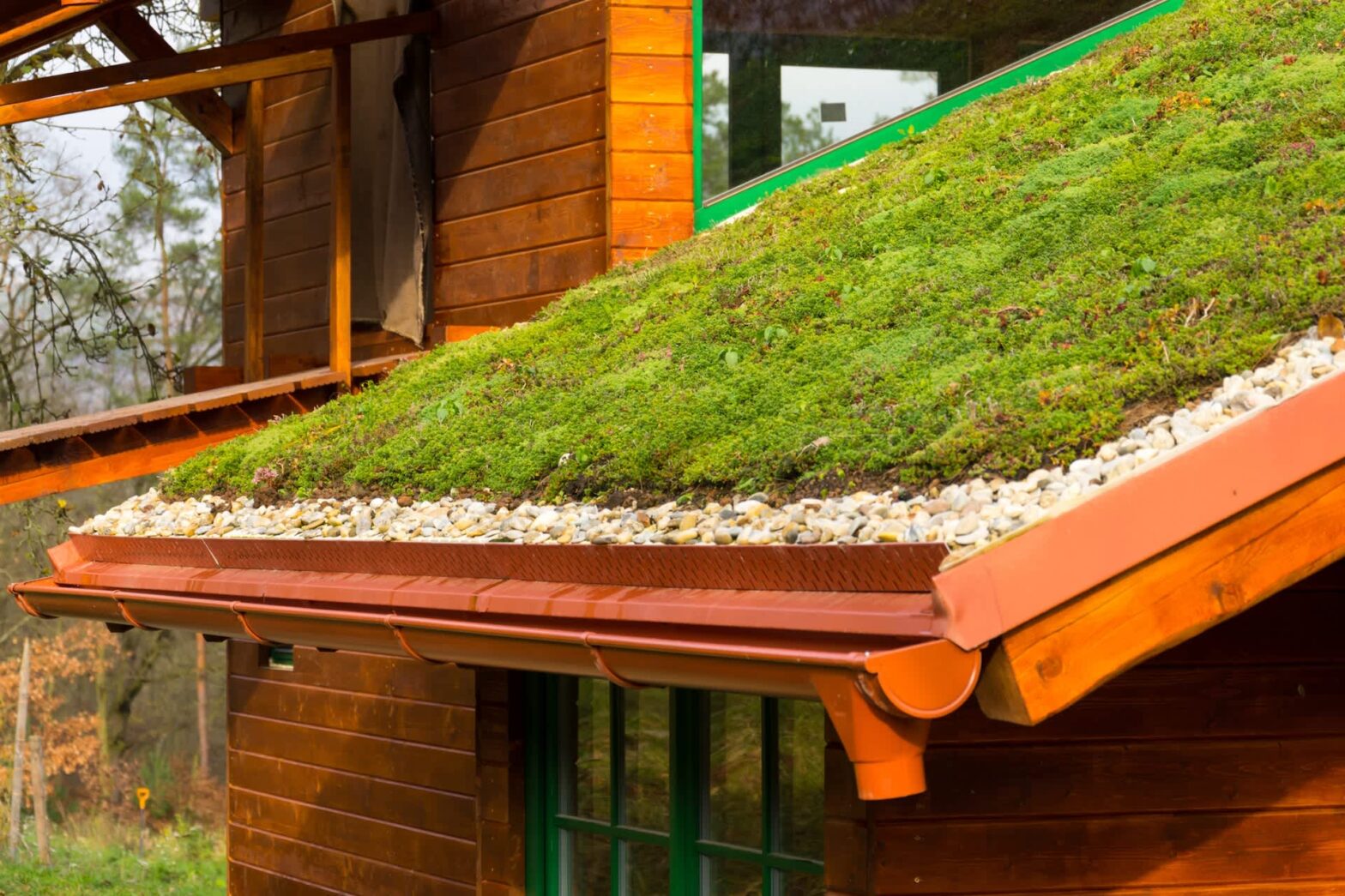 Scientists make remarkable discoveries after studying "green roofs" on buildings: "You can offer unexpected co-benefits".