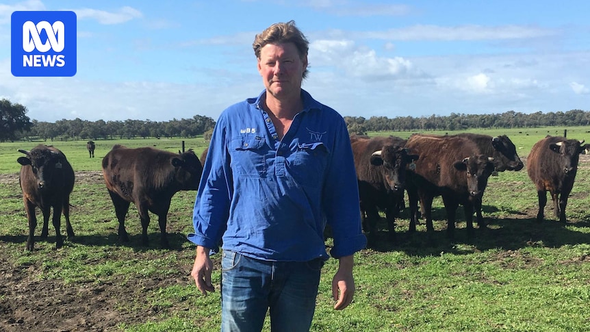 Fence cutler endangers cattle and nearby motorway drivers