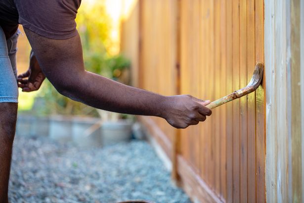 The hand of an East Indian man turns cedar stain on a fence outdoors.