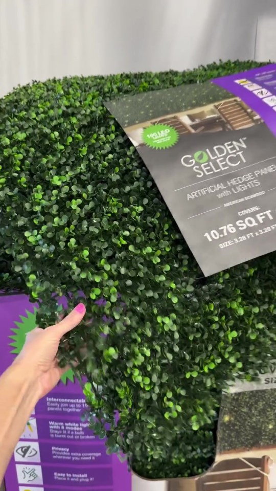 Costco's $ 39.99 Artificial rear plate with lights.