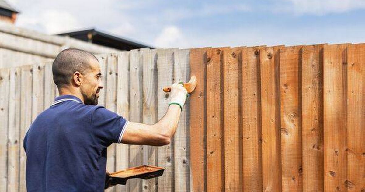 Paint garden fence in a few minutes with the "Genius" method, where no brush or sprayer contains