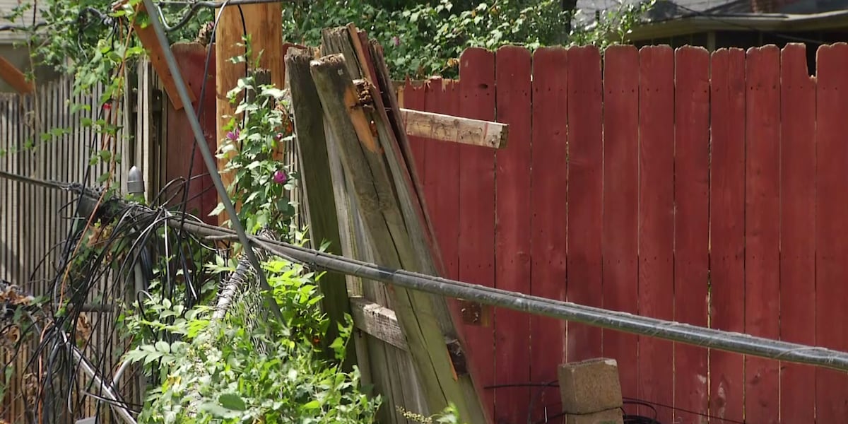 Downed Cable & Internet lines prevent cleaning in Springfield from June 29th Sturm from June 29th