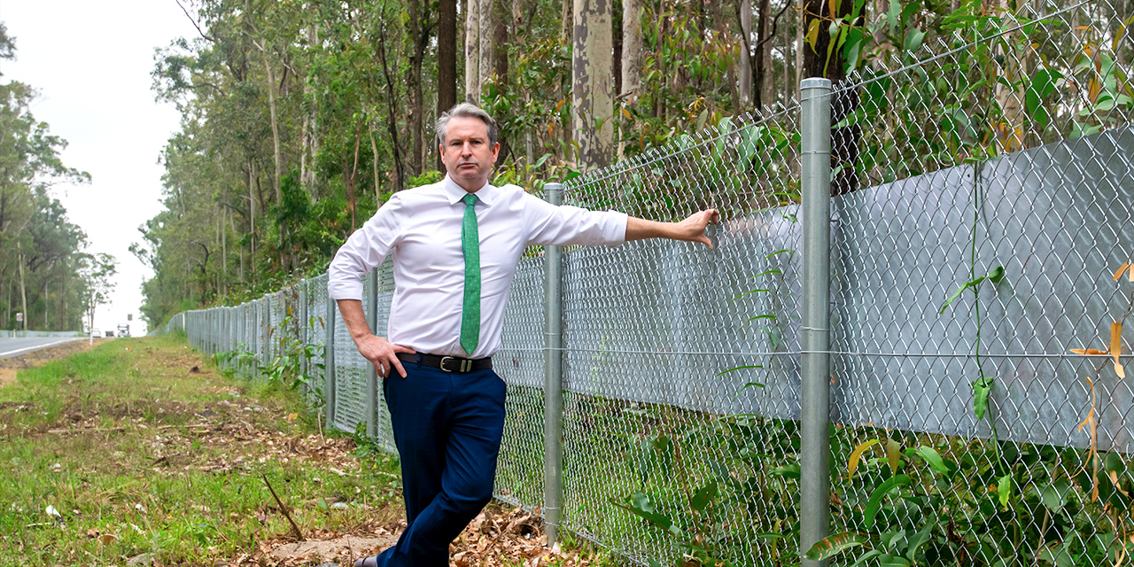 Fences climb to save our koalas