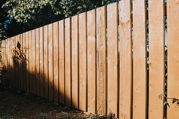 Background image for copy. Structured wooden fence posts, partly in the shade and partly in light sunlight. Decreasing perspective. Space by copy.