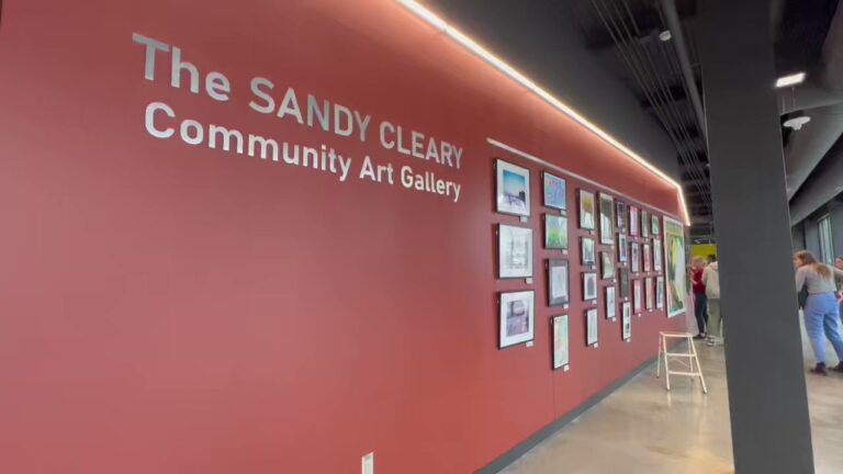 New exhibition comes to the Nashua Center for the Arts | News, sports, jobs