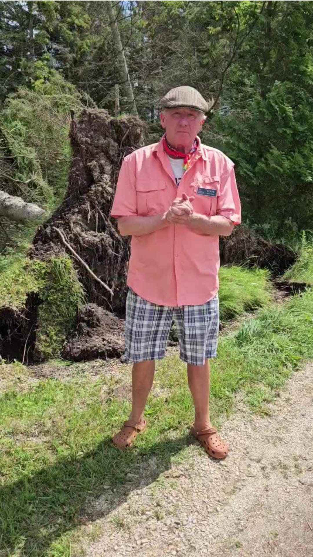 Northern Door County recovered from the windstorm on August 9, who hit the trees, makes