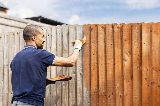Man paints fence in the back yard on the sunny day