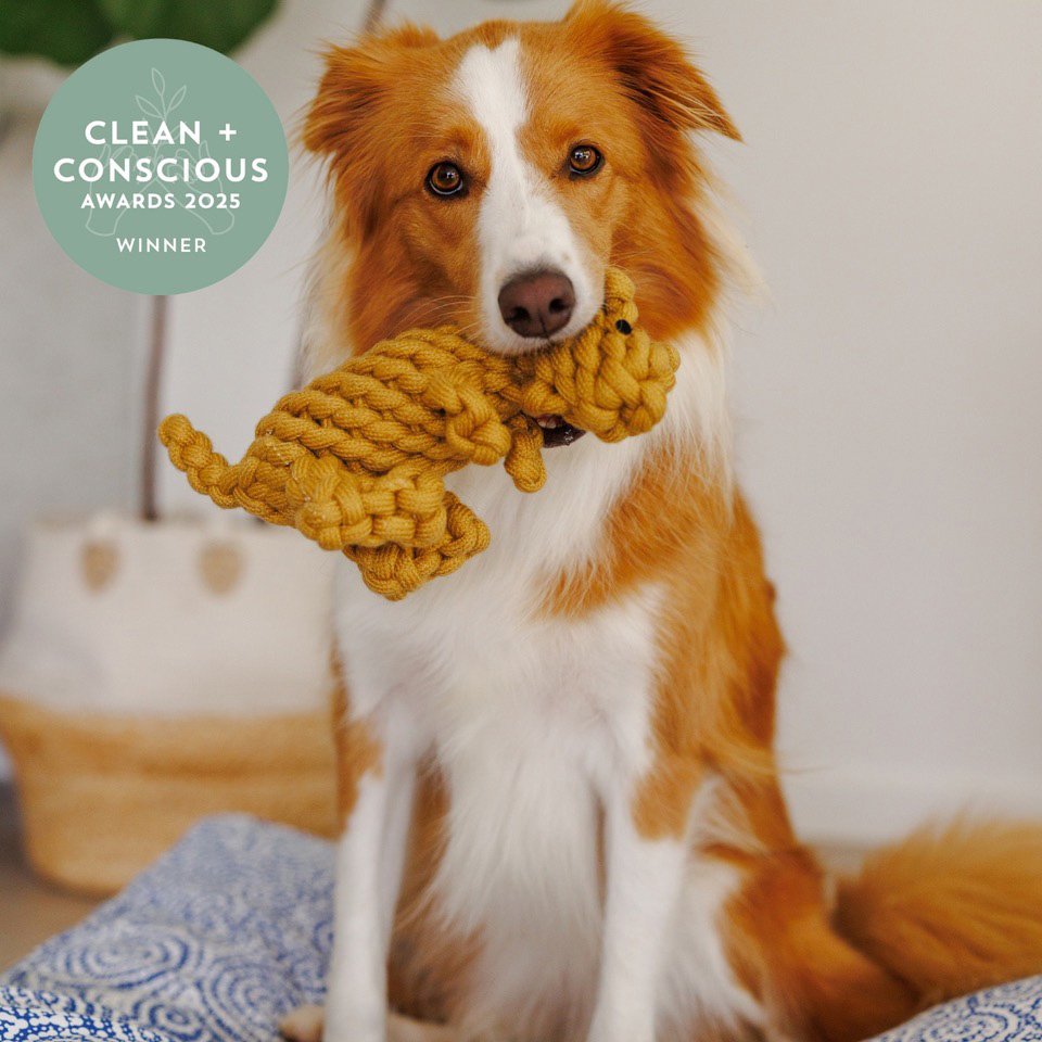 Outback Tails Award winner